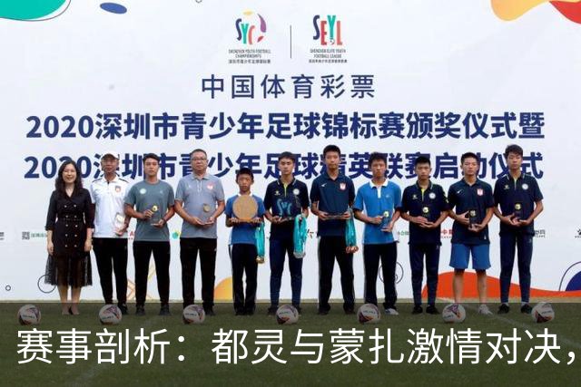 赛事剖析：都灵与蒙扎激情对决，伊普斯维奇防线告急，德甲实力对碰